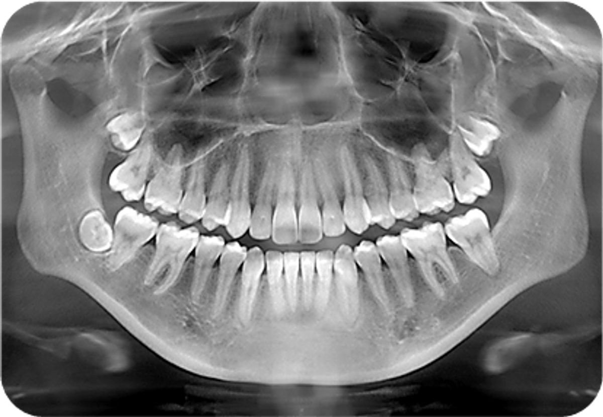 dental service