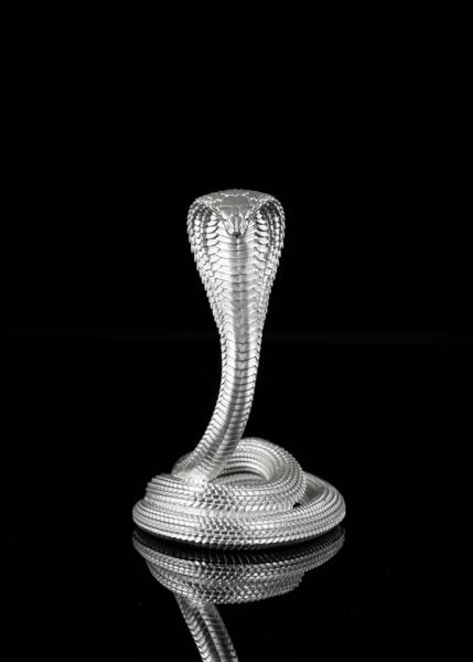 snake