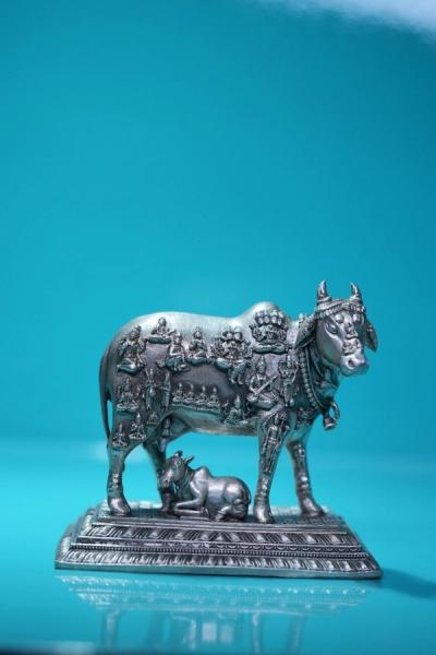 Kamadhenu front image