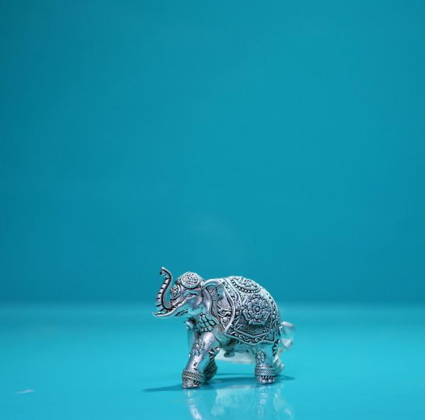 Divine Gaja Silver Idol