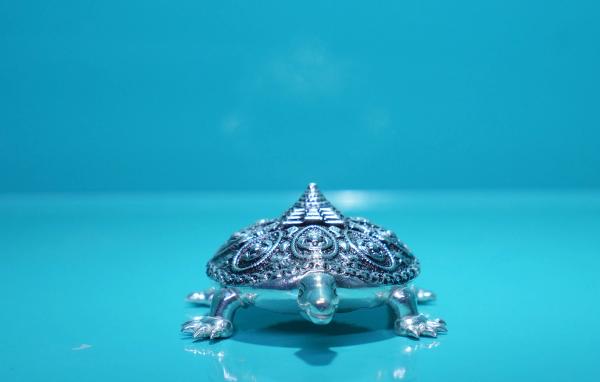 Divine Kurma Silver Idol