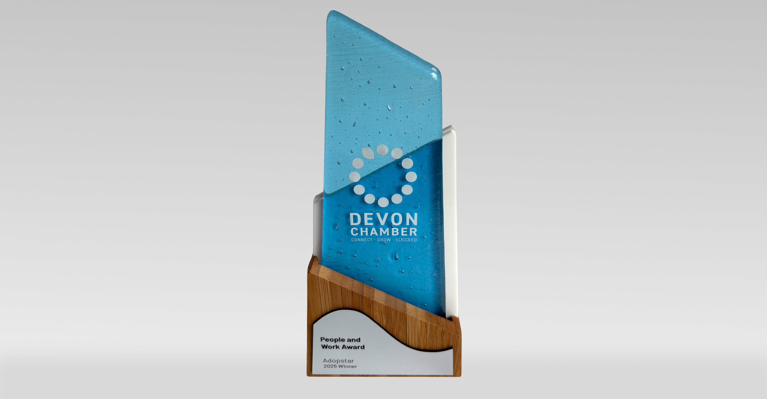 A sleek award trophy made of blue and clear acrylic with a wooden base, featuring the 'DEVON CHAMBER' logo and text that reads 'People and Work Award', and 'Adopstar 2025 Winner'. This image represents the 'Winner' recognition for 'Business Services' at the Devon Chamber Awards 2025.