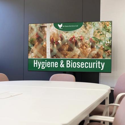 Screen in a meeting room displaying 'Hygiene & Biosecurity' presentation
