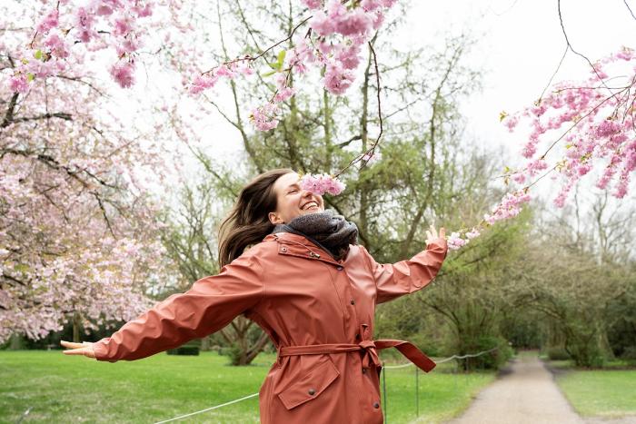 Cherry blossoms, transforming anxiety into self-leadership