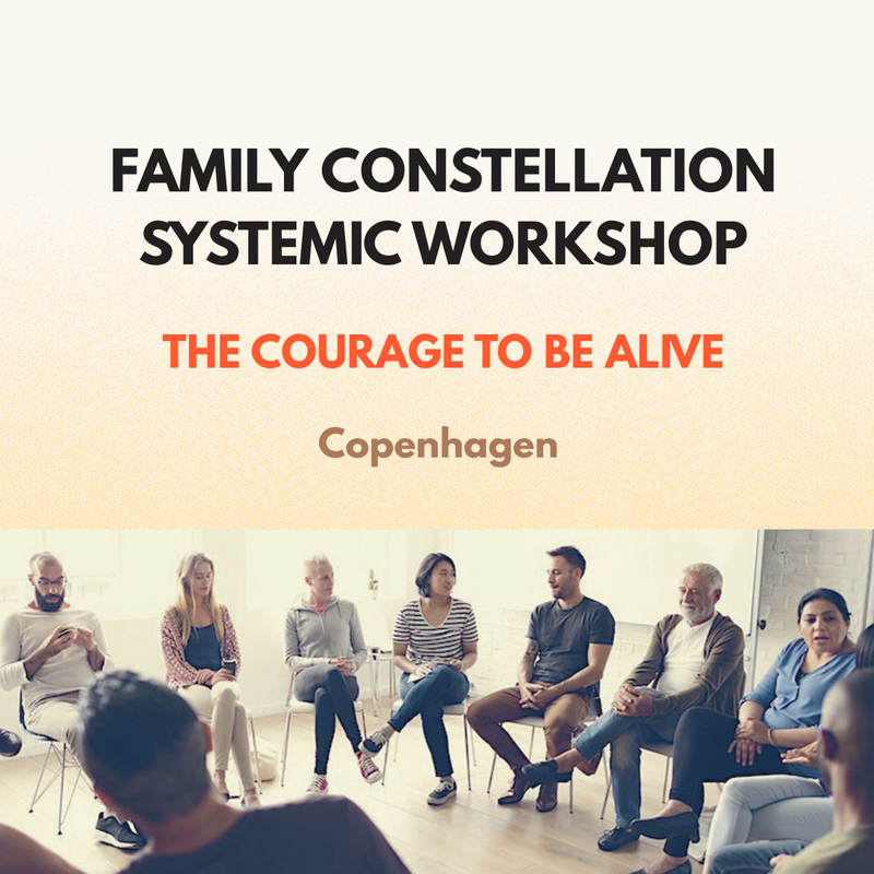 Constellation Workshop Copenhagen