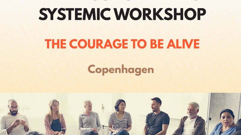 Constellation Workshop Copenhagen