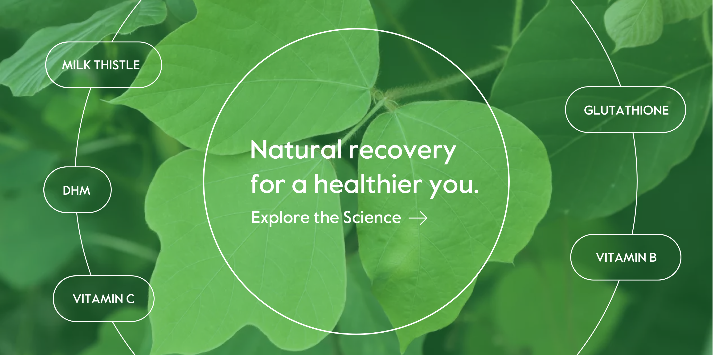 ET Ingredients Diagram: Natural recovery for a healthier you.