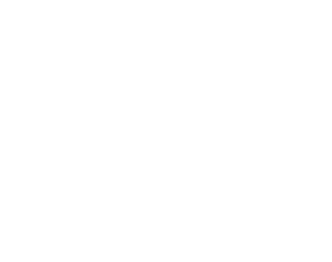 Bloomreach