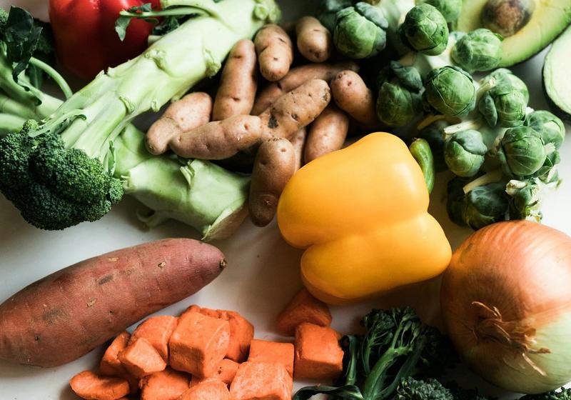 Fish Food Ingredients to Avoid: A Field Guide to the Fine Print