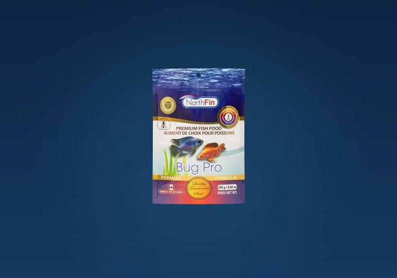 Black Soldier Fly Larvae in Fish Food: The Oldest Item on the Menu Is Back