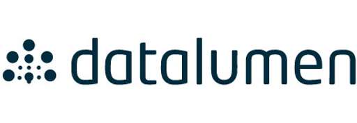 Datalumen logo logo