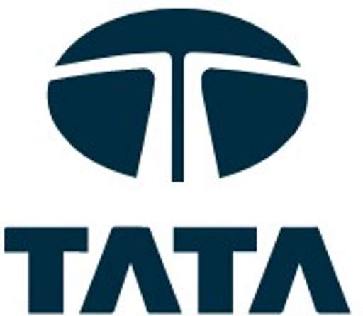 Tata logo logo