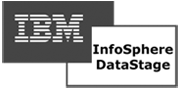 IBM InfoSphere Datastage logo