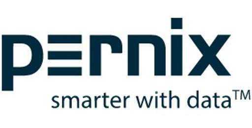 Pernix logo logo