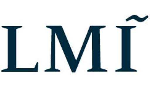 LMI Consulting logo logo