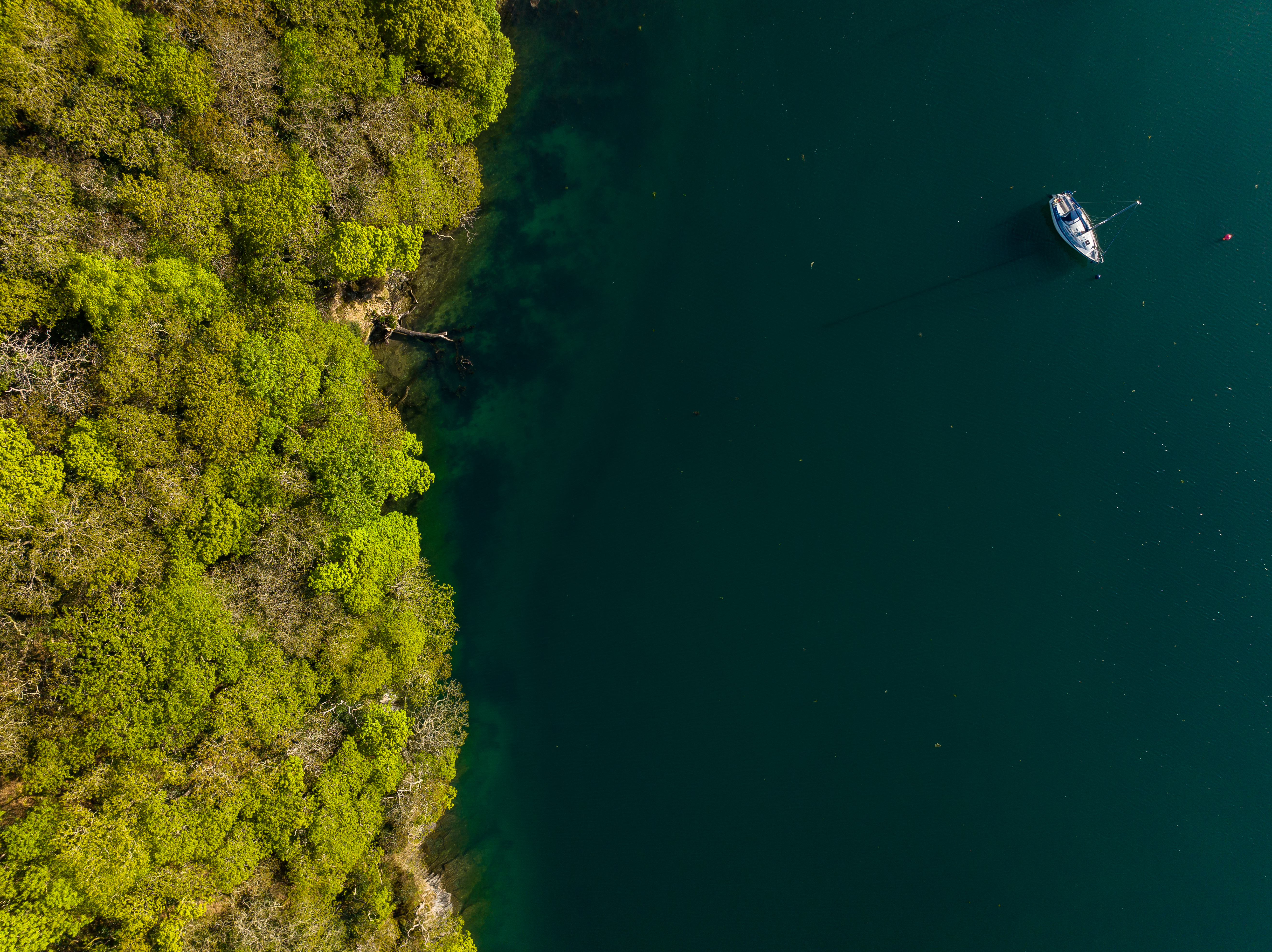 Aerial view of a sailing boat moored off Port Navas Creek, Cornwall