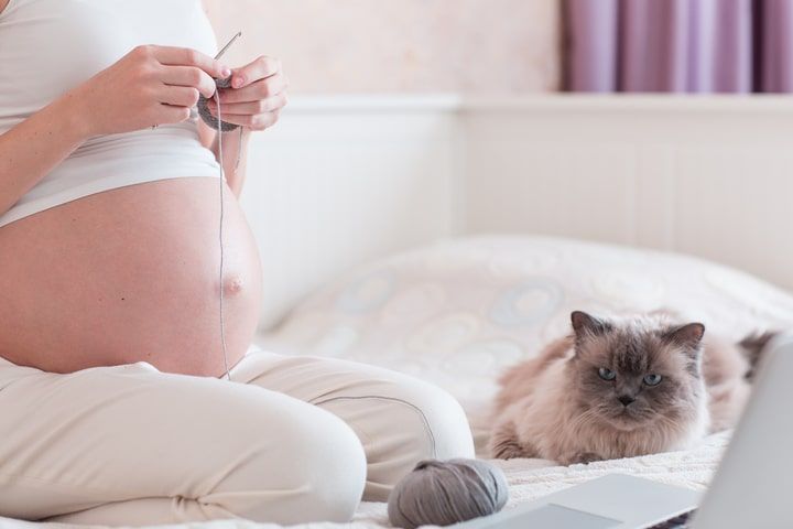 mulher grávida a fazer crochet com um gato