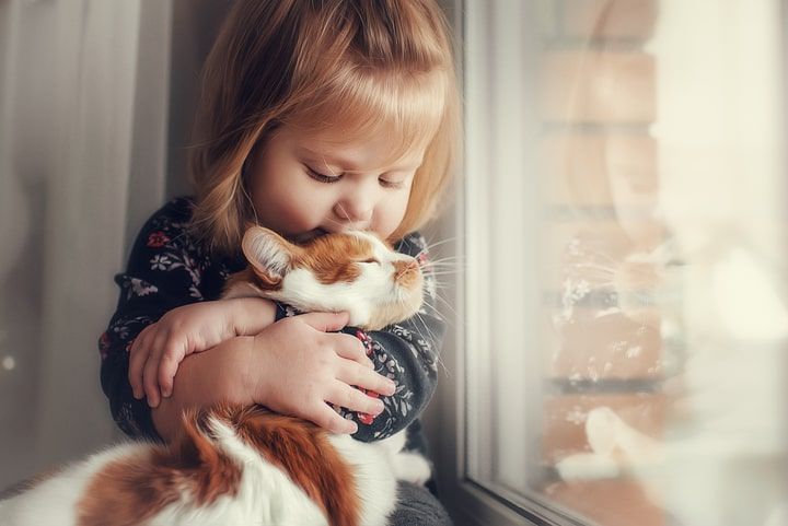 criança a abraçar um gato fofo