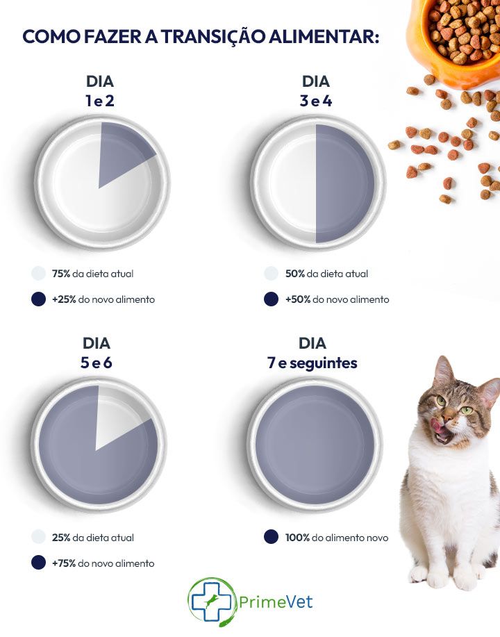 infográfico sobre transição alimentar da comida para gato