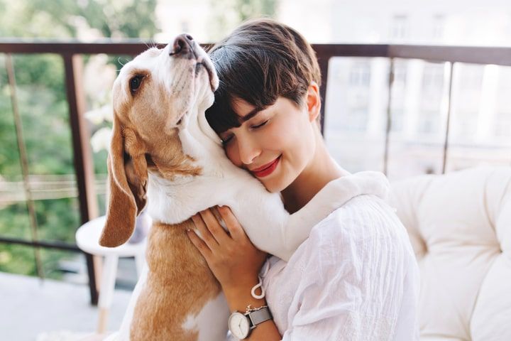 mulher a abraçar um cão com a desparasitação interna em dia