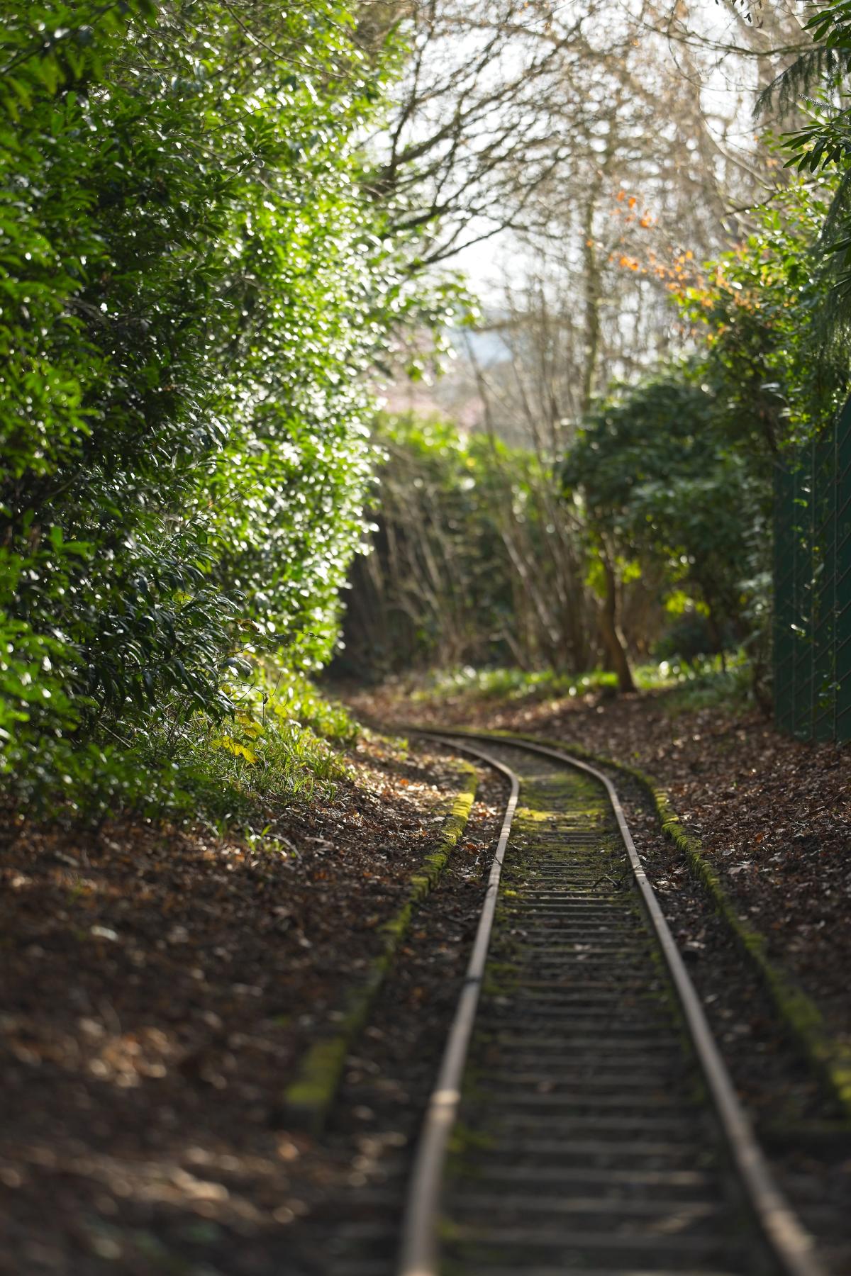 Bahngleise im Park
