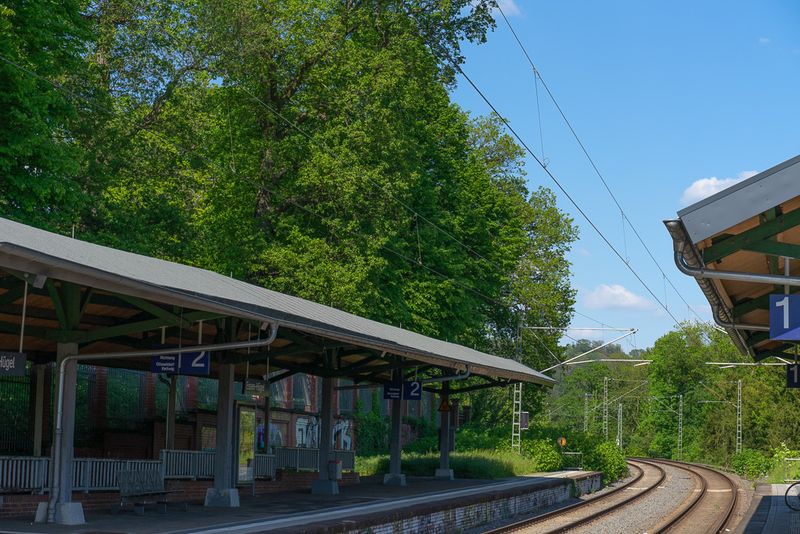 Bahnlinie in der Natur