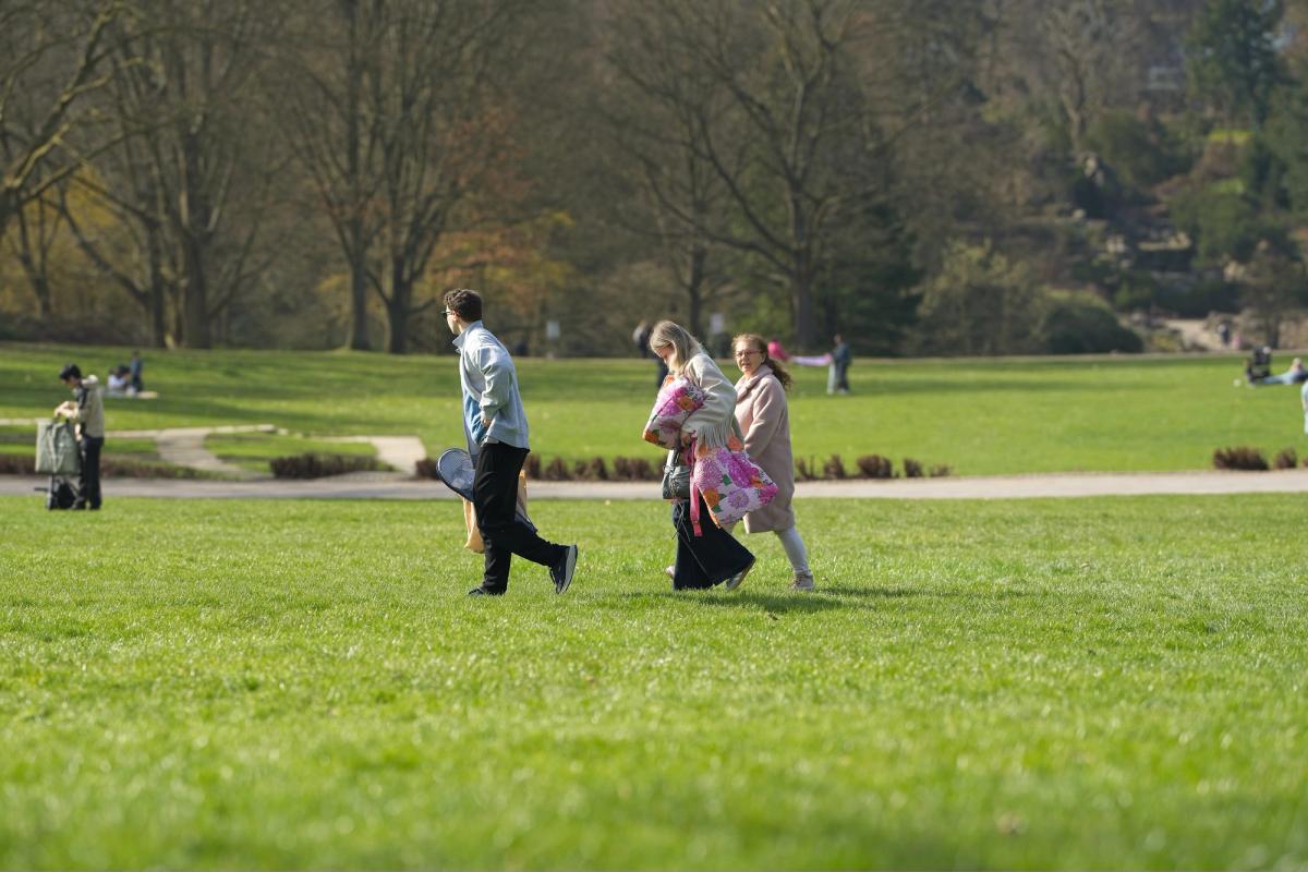Freizeit im Park