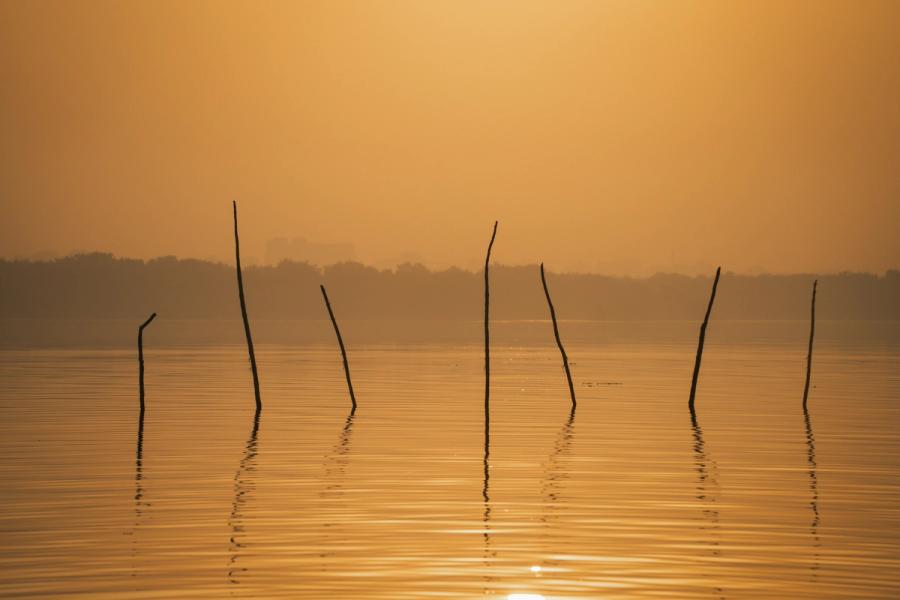 Finding Calm in Chaos: Thriving in the Future of Work with Confidence