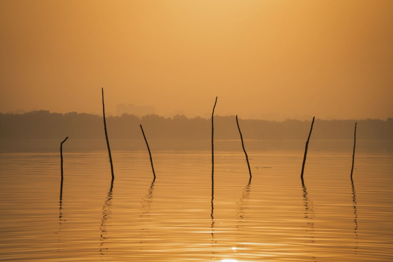 Finding Calm in Chaos: Thriving in the Future of Work with Confidence