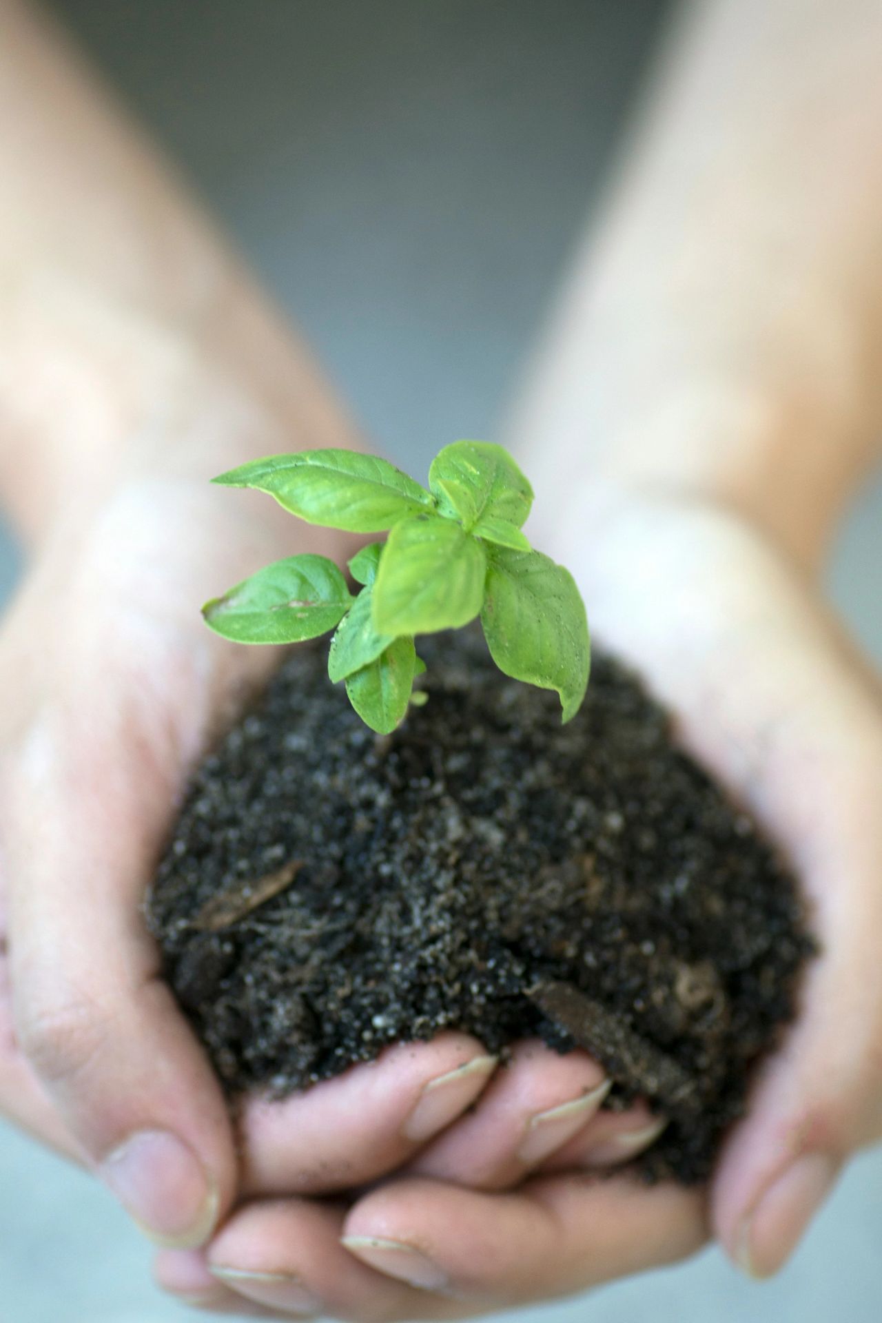 Why Employee Wellbeing Should Be a Capability, Not a Perk