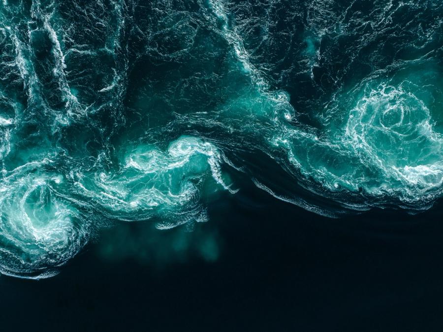 Embracing Disruption: Actionable Leadership Shifts for Thriving in a New World