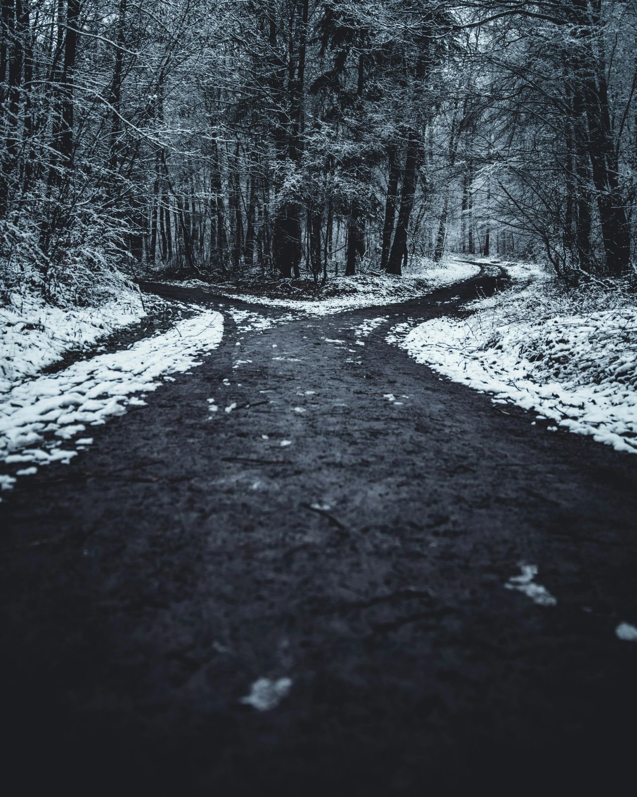 Career Planning Is Broken. Here's What to Do Instead
