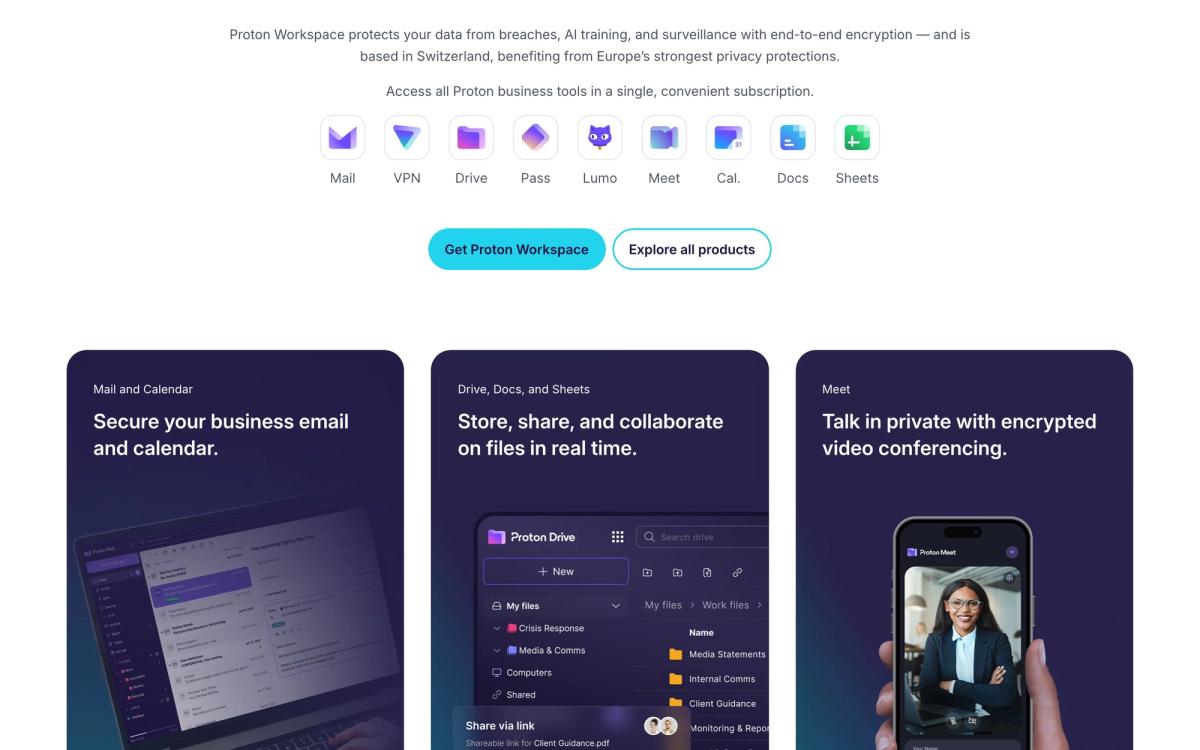 Proton for Business, product overview page screenshot