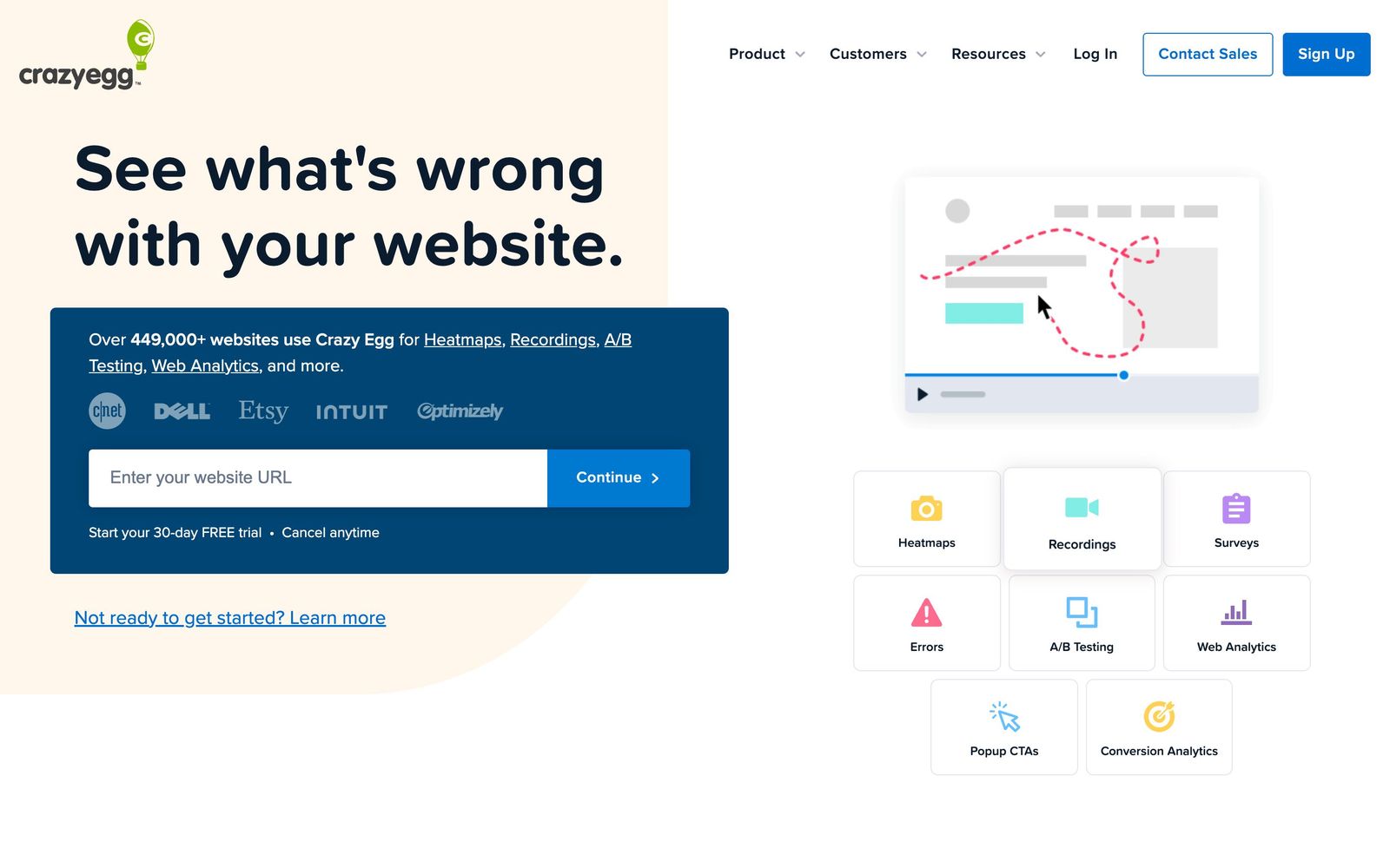 Crazy Egg website, homepage