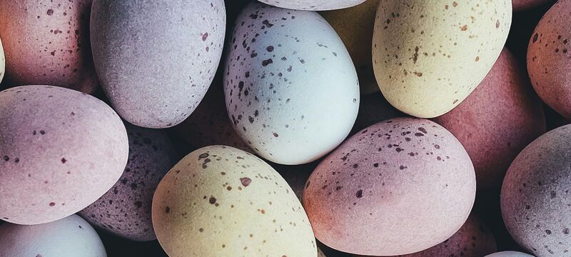 Ostereier suchen macht Spaß – Testamente suchen nicht