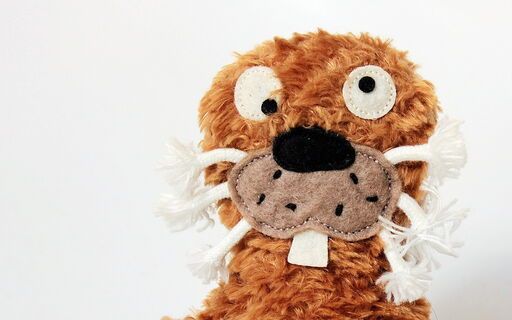 Drehbuchautorin klagt auf angemessene Nachvergütung