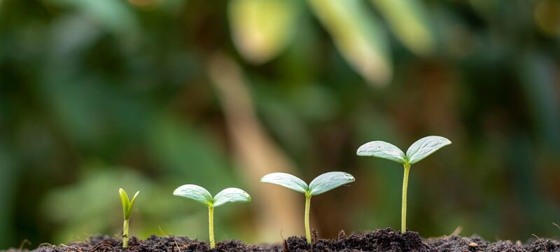Sustainable Thinking