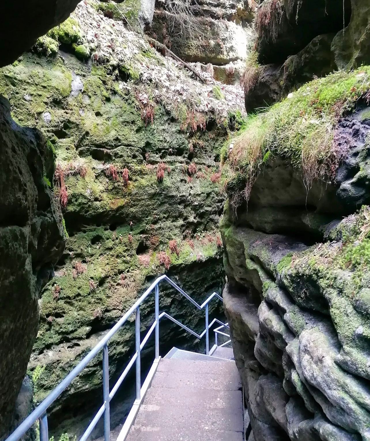 Фото Мост Бастай + термы Бад-Шандау