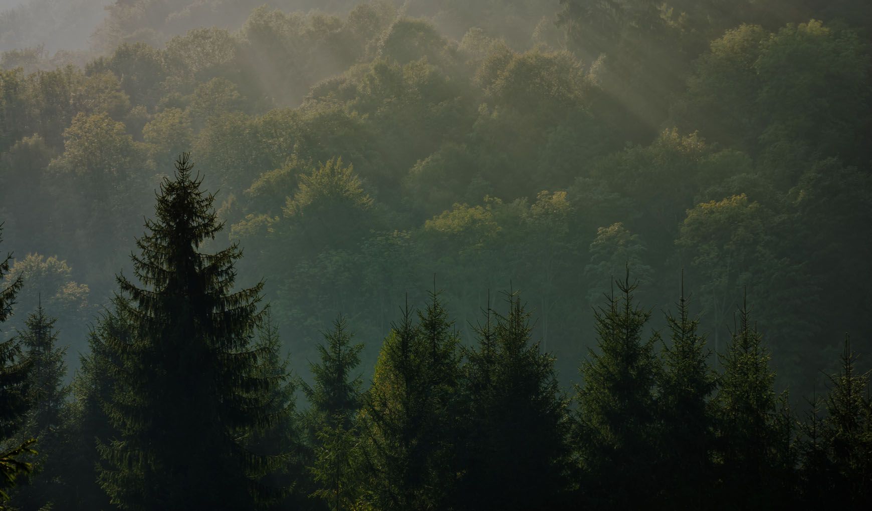 gaia-parquet-e-bgres