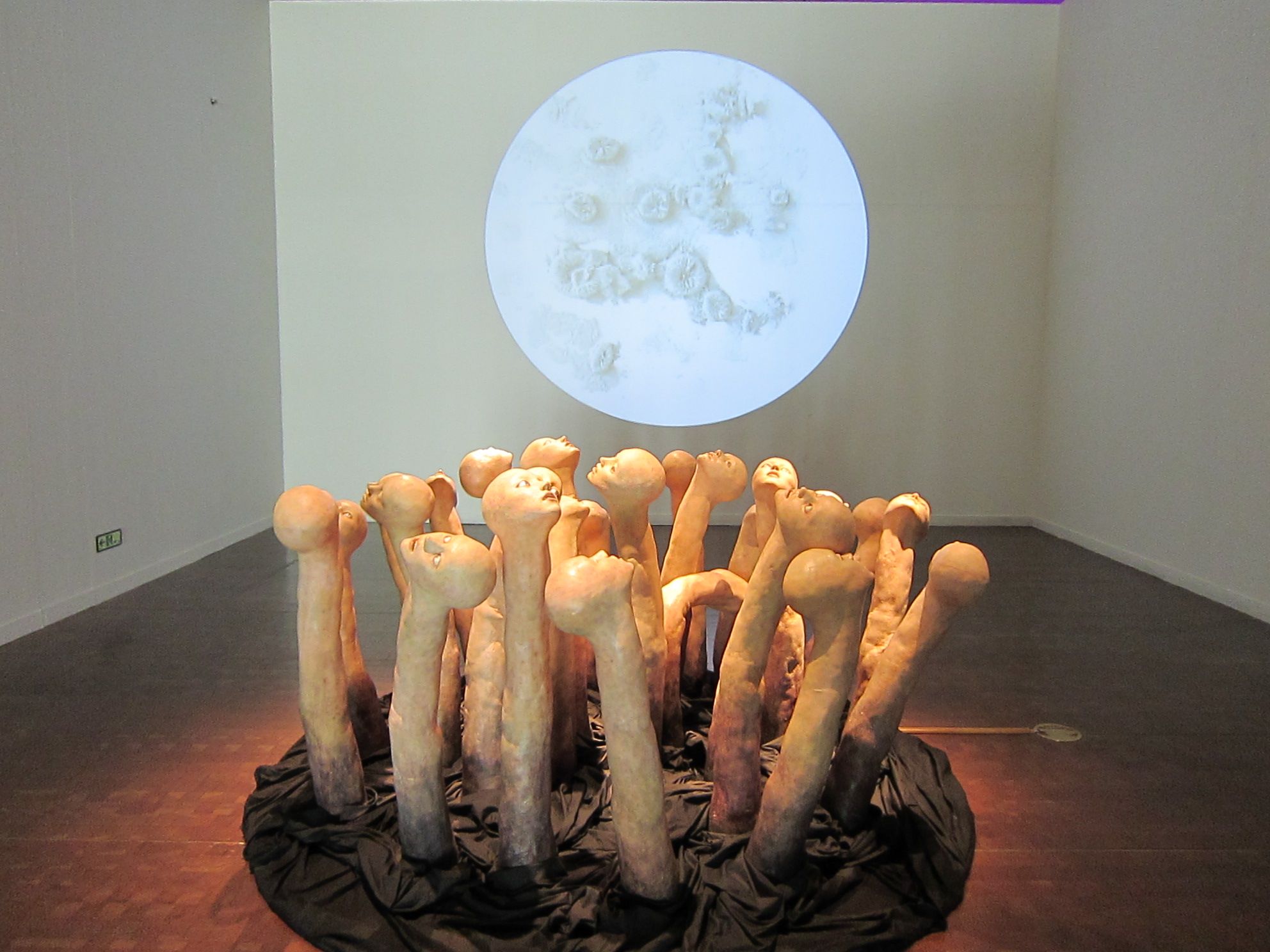 photo-sema-2012-art-in-culture