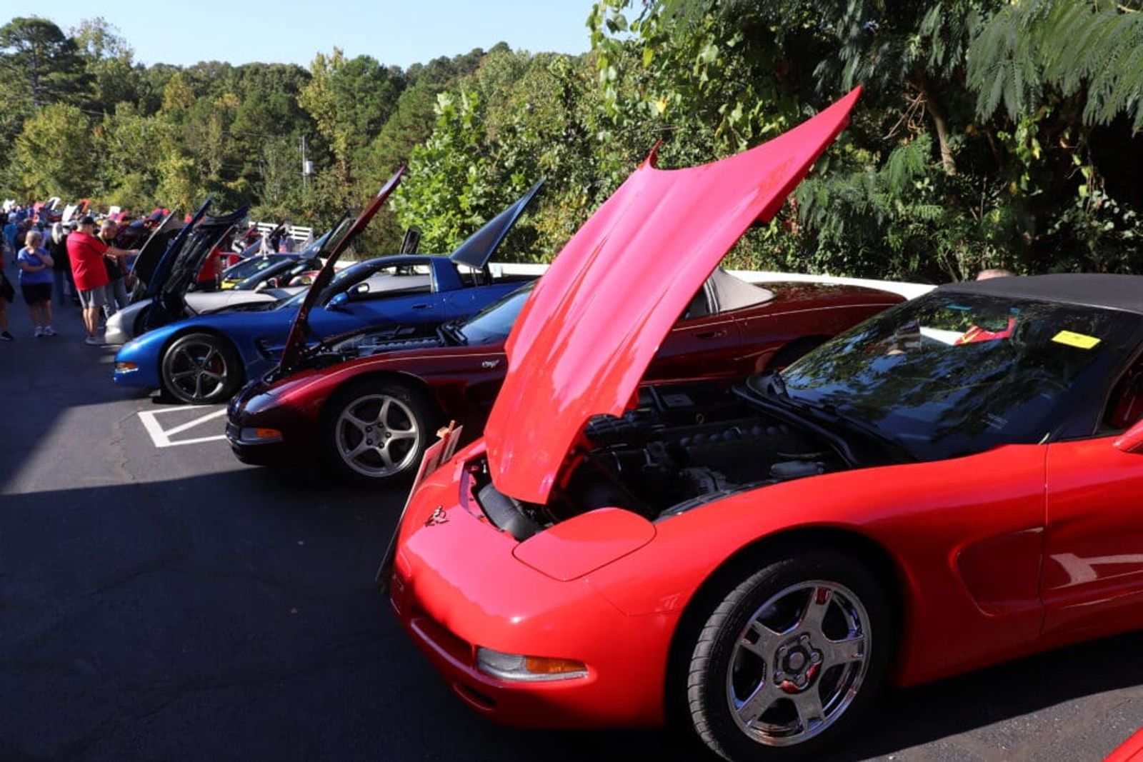 Corvettes parked with their hoods raised at Eureka Springs Corvette Weekend