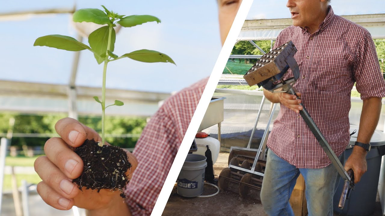 How to Grow Healthy Transplants on Your Market Garden: Soil Blocks, Plug Trays, and Potting Mix