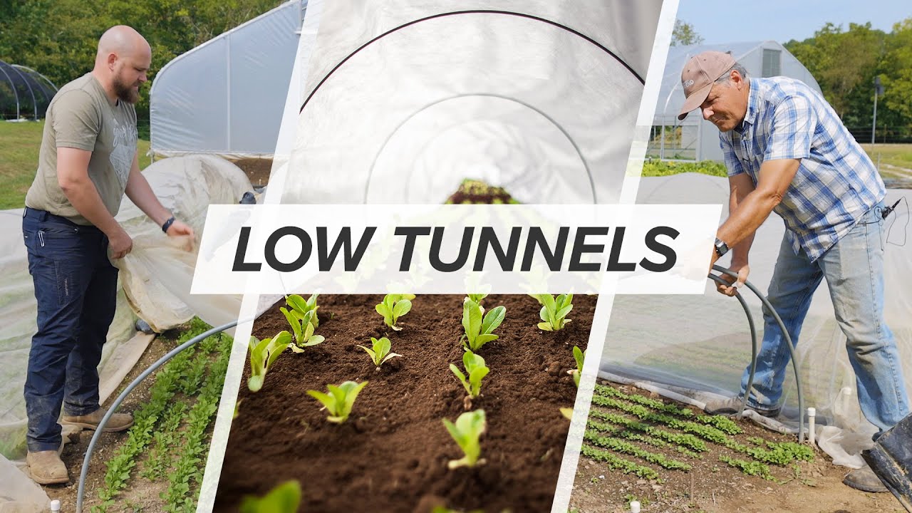 Low Tunnels for Market Farmers: An Affordable Way to Protect Your Crops Year-Round