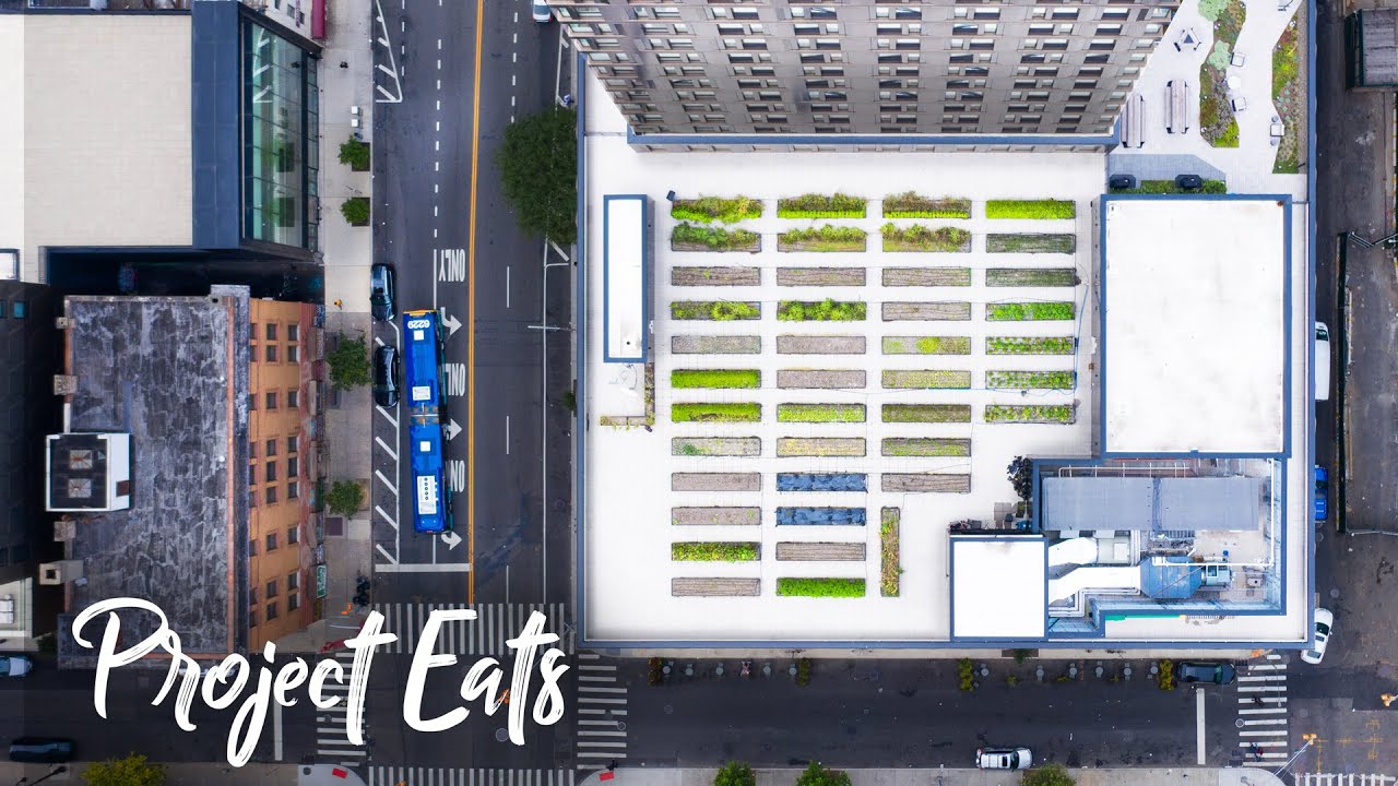 URBAN FARM in the heart of New York City!