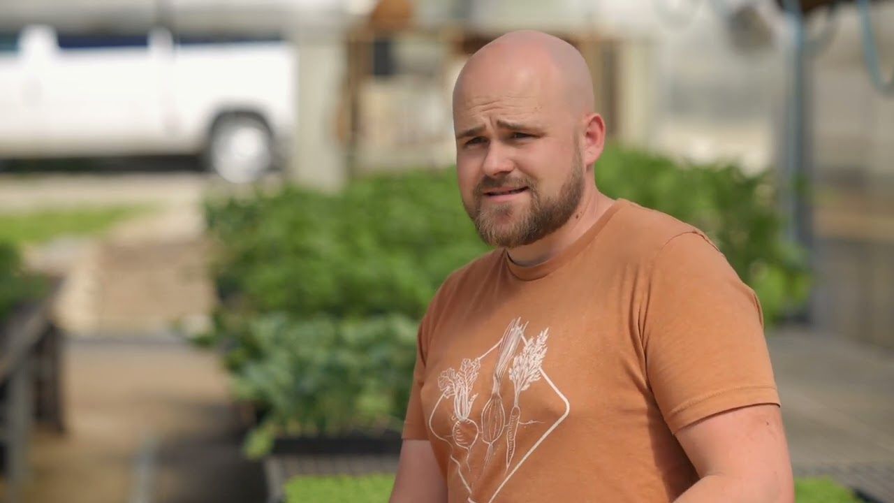 How to Use a Greens Harvester: Tips for Cleaner Cuts and Better Second Harvests