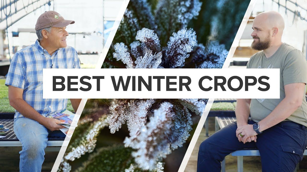 Best Cold-Hardy Crops for Winter Growing on Your Market Farm