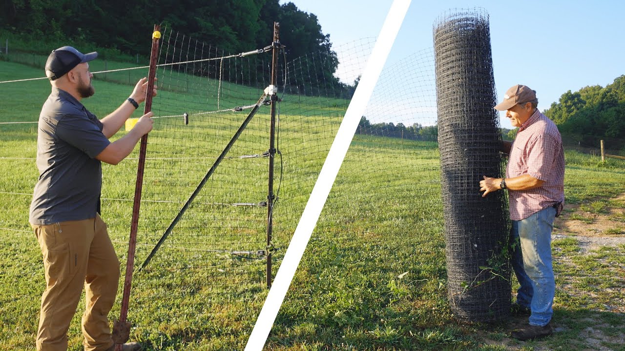 How to Keep Deer and Large Pests Off Your Garden