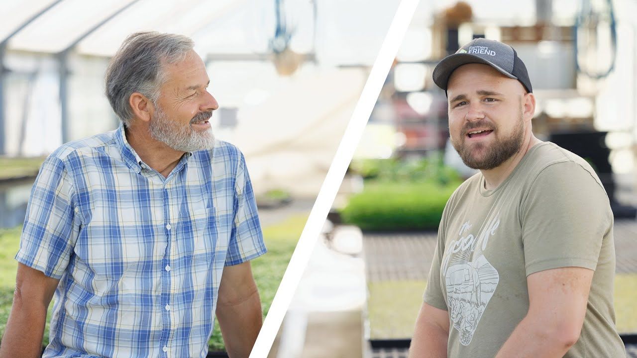 How to Manage Squash Bugs on Your Market Garden Without Chemicals