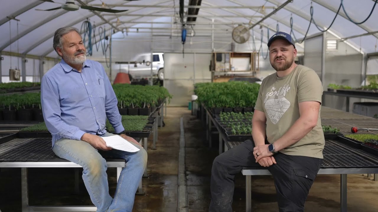 How to Build Soil Health in Sandy Soil and Get Weeds Under Control