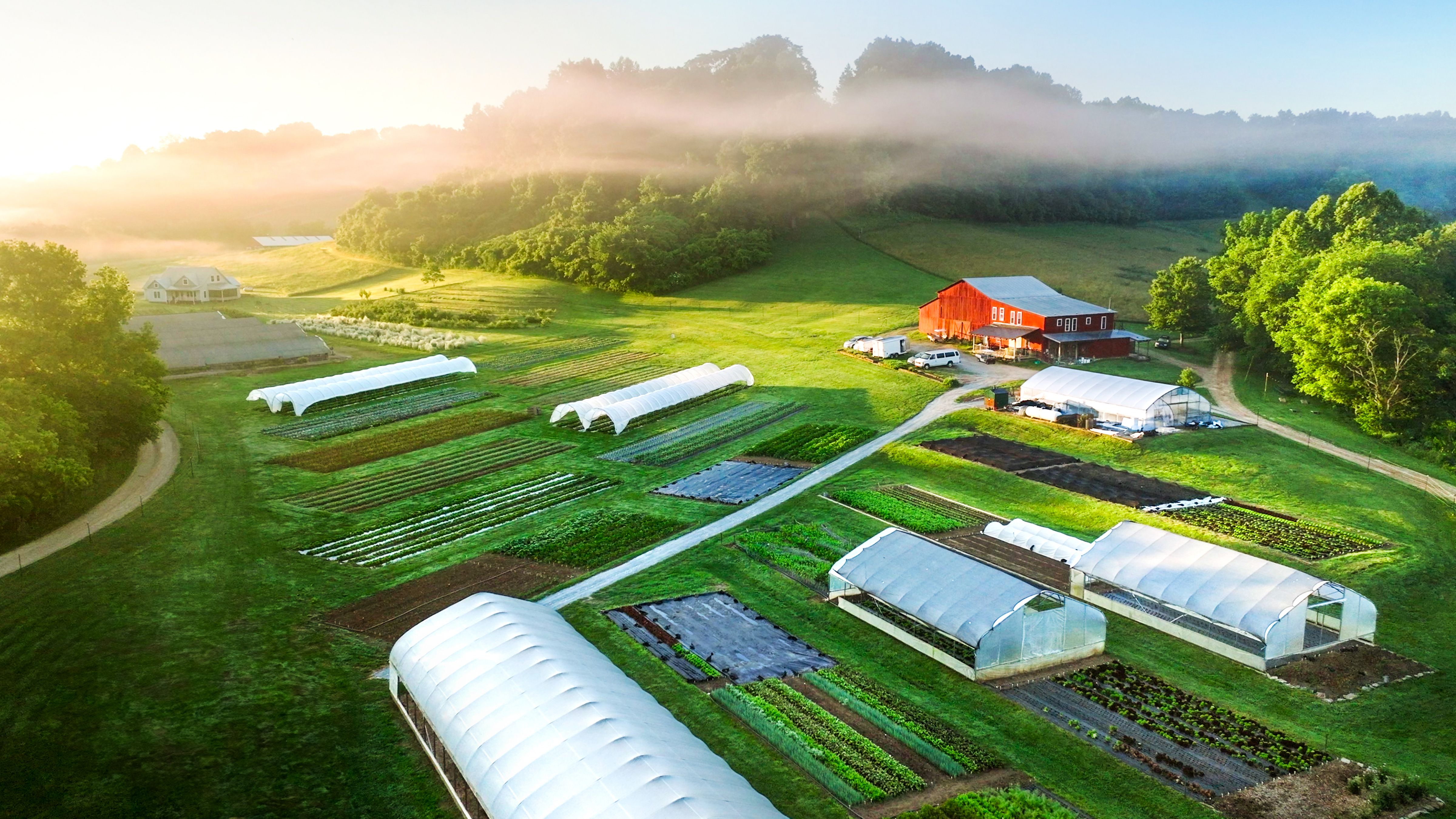 Search Section Background